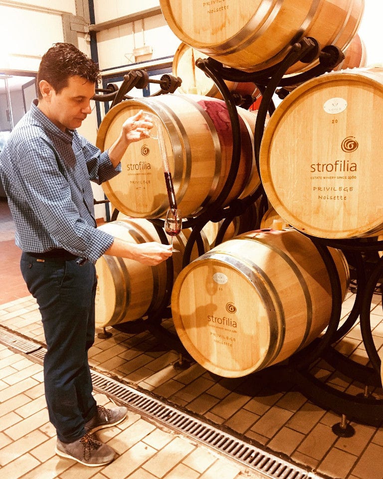 oenologist using sampling probe from wood barrel at Strofilia winery cellar