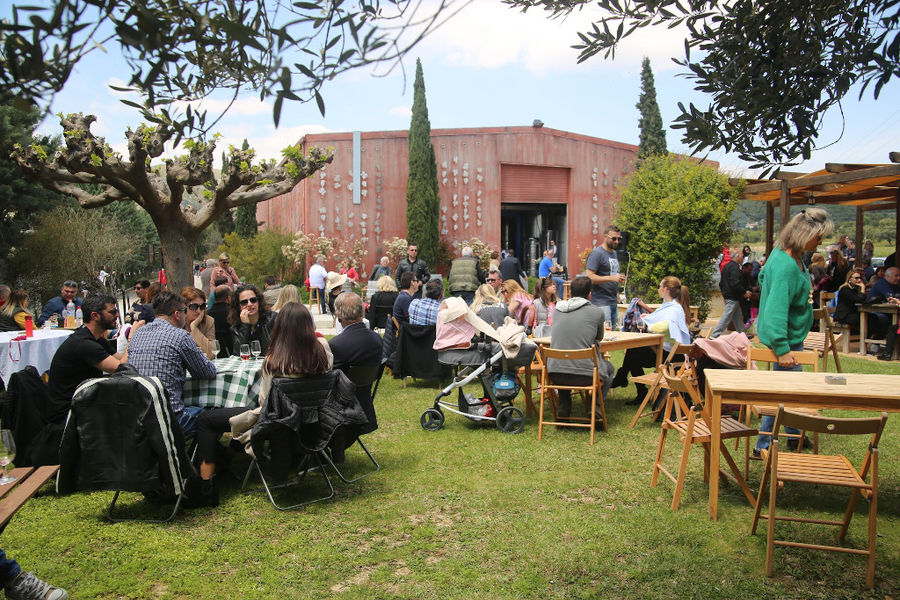 Tourists sitting at the tables and enjoy a wine tasting at Strofilia winery outside