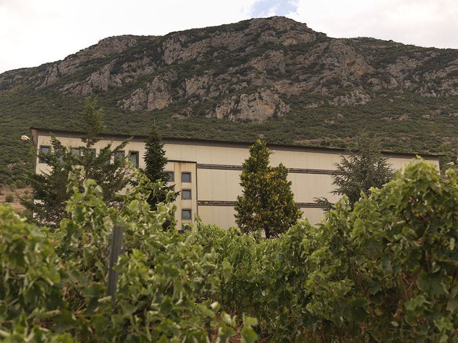 one side of Strofilia winery building surrounded by vineyards, trees and mountains in buckround