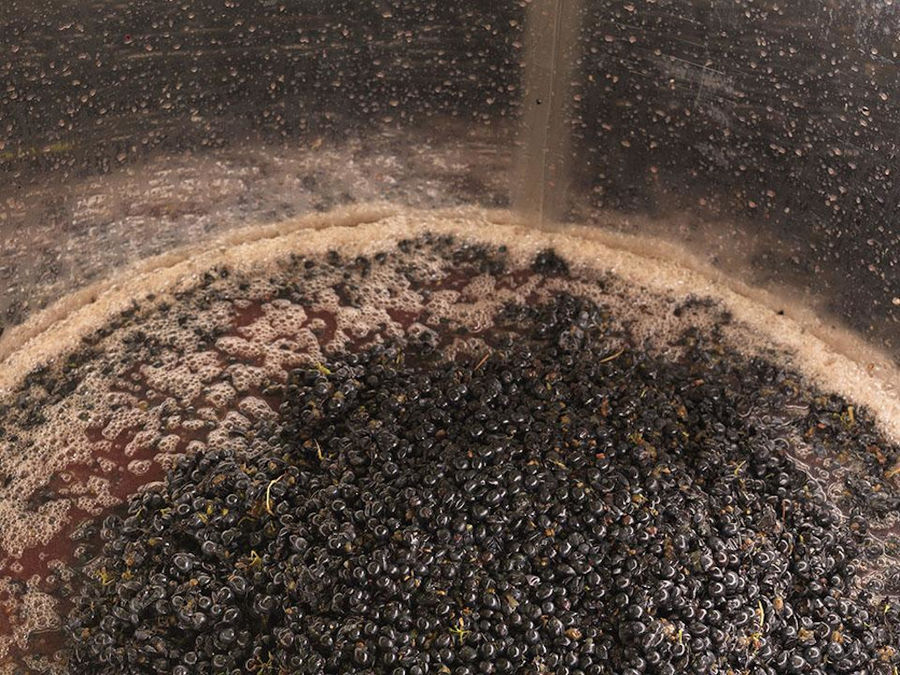 must 'pulp' of black grapes and fermentation occurs together with the grape skins at Strofilia winery
