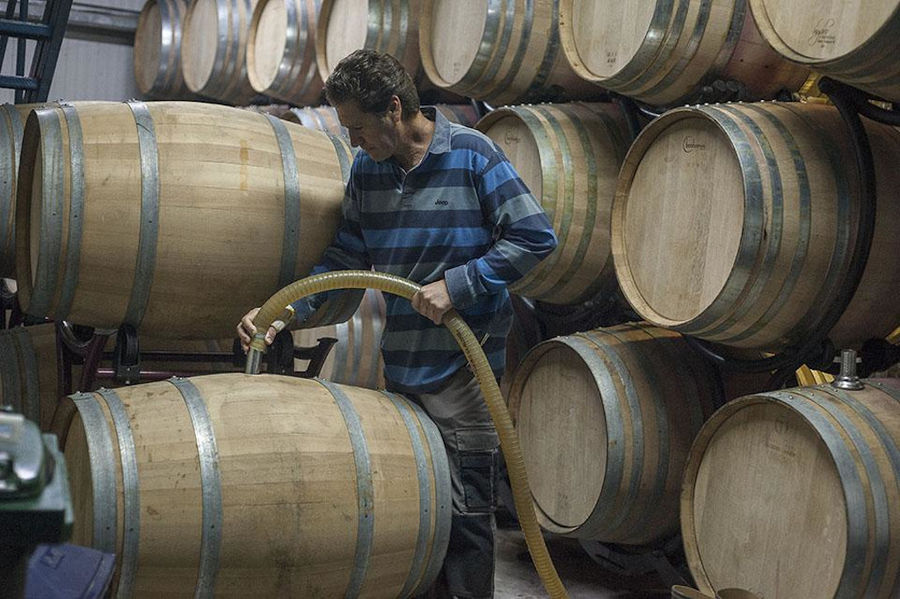 man holding a hydraulic pump and filling the wine barrels at Strofilia winery plant