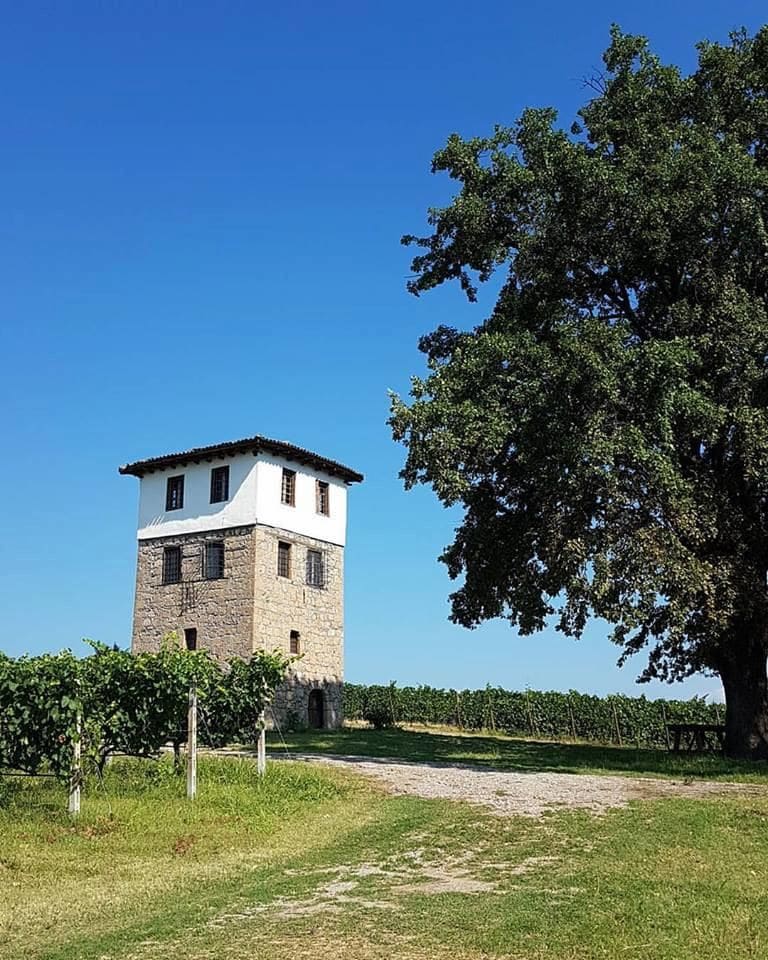 tall tower part of Ktima Kir Yianni surrounded by vineyards and a high tree on the one side