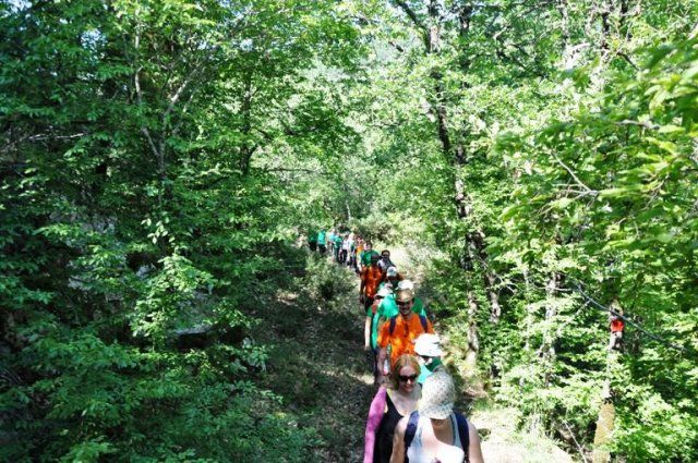 a group of tourists walking on the path in the forest at 'The Bear's Honey'