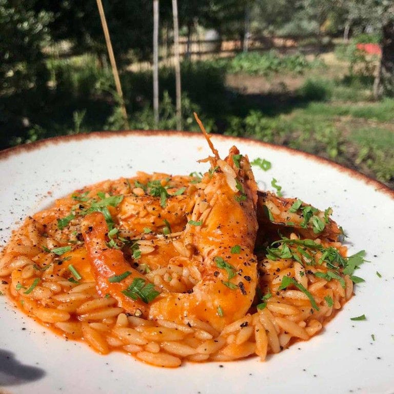 plate with cooked orzo in tomato sauce and fish from 'The Orchard in Vari' restaurant
