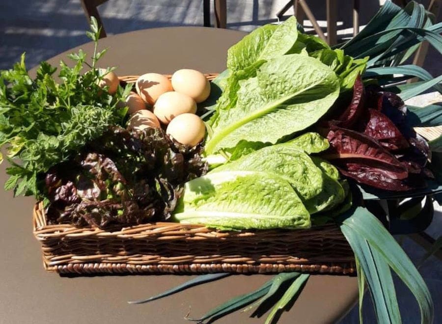 wicker basket with eggs and red and green salads from 'The Orchard in Vari' garden