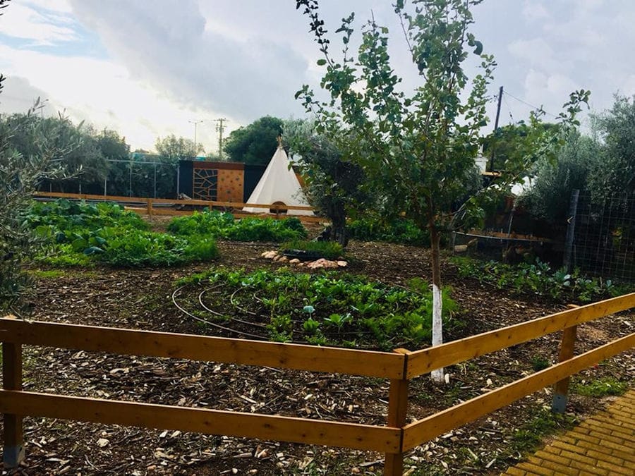 vegetables garden beds at 'The Orchard in Vari' surrounded by wood fence