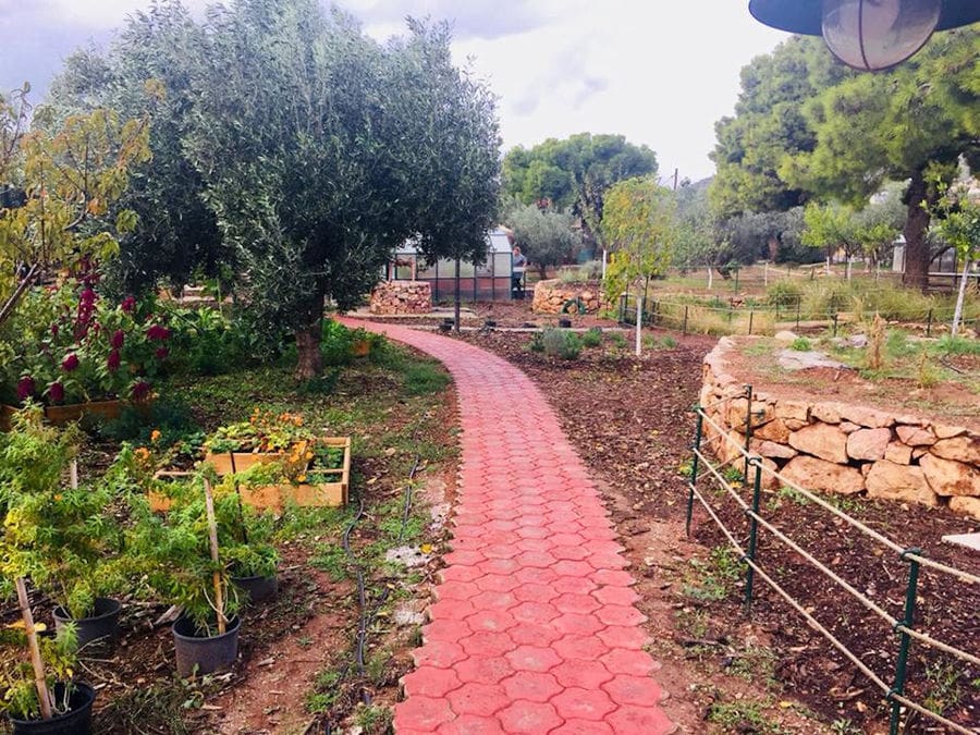 'The Orchard in Vari' alley with trees and garden beds on the both sides