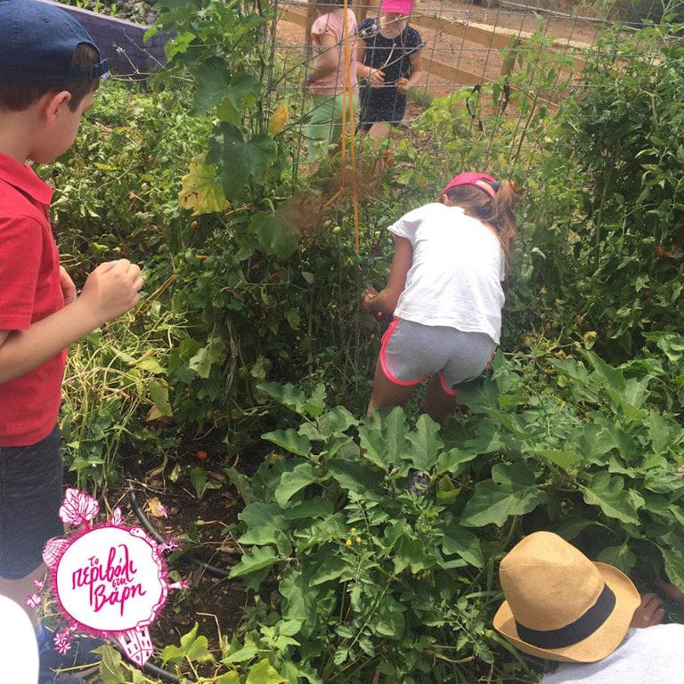 childs picking vegetables from 'The Orchard in Vari' garden