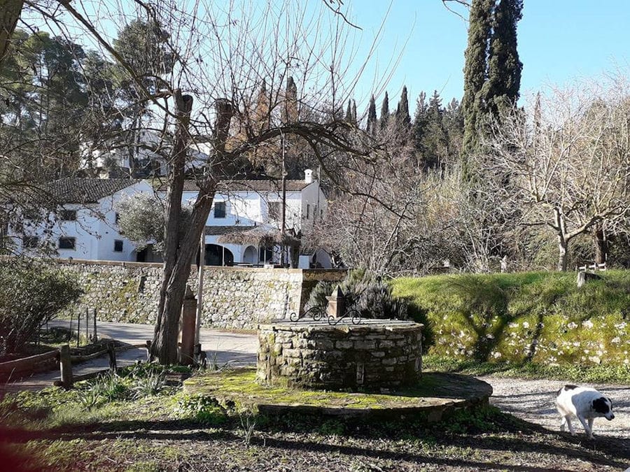 a dog is by the stone fontaine in the front of 'Theotoky Estate' building