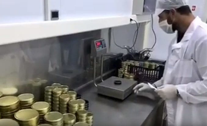 man weighing jar with caviar eggs on the electronic laboratory balance at 'Thesauri Caviar' laboratory