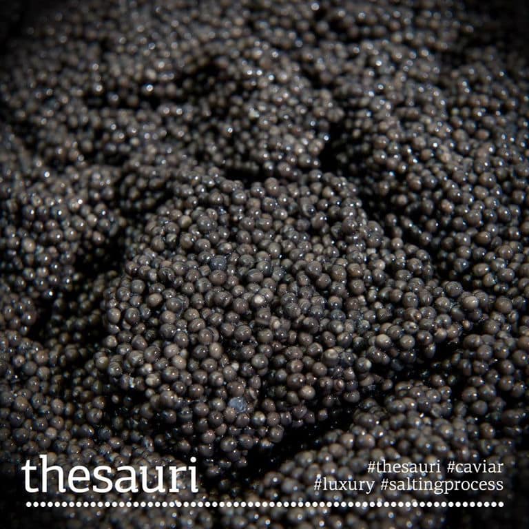 close-up of caviar eggs from 'Thesauri Caviar'