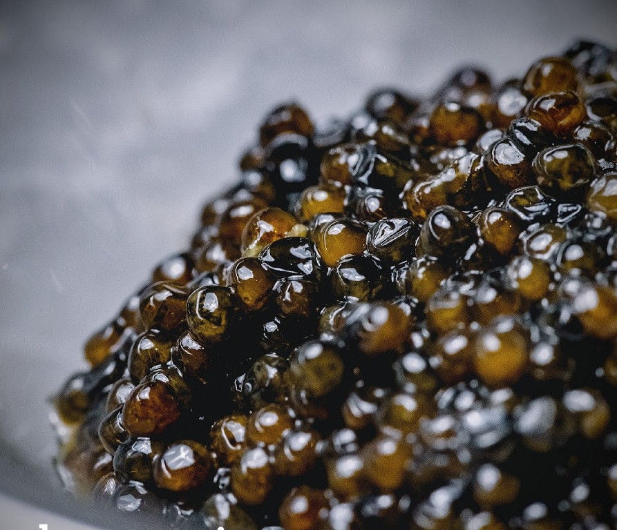 close-up of caviar eggs from 'Thesauri Caviar'