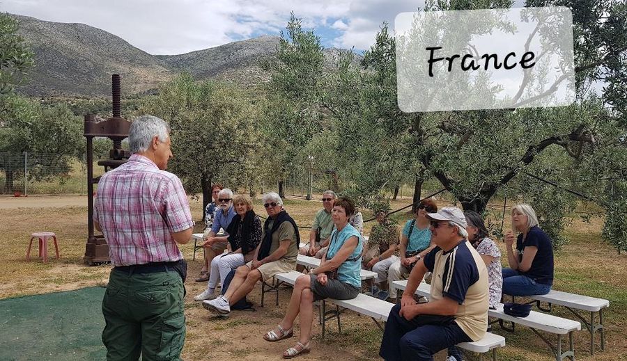 visitors from France sitting on benches and listening to a guide at Melas Epidauros with olive trees in the background