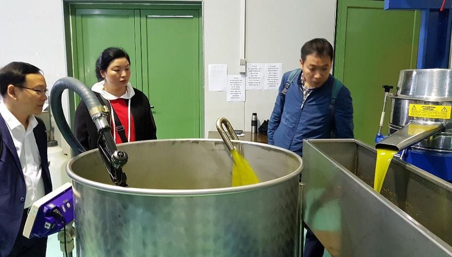 tourists watching olive oil flowed from olive oil press machine at Melas Epidauros plant