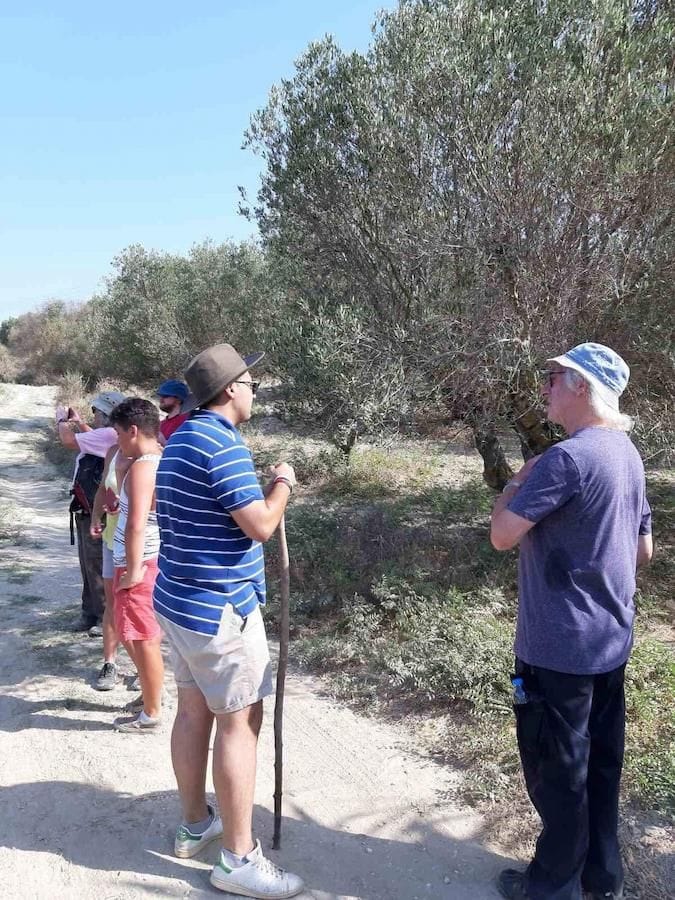 a group of tourists with sun hats, glasses and shorts discussing at olive grove Yennima Yis