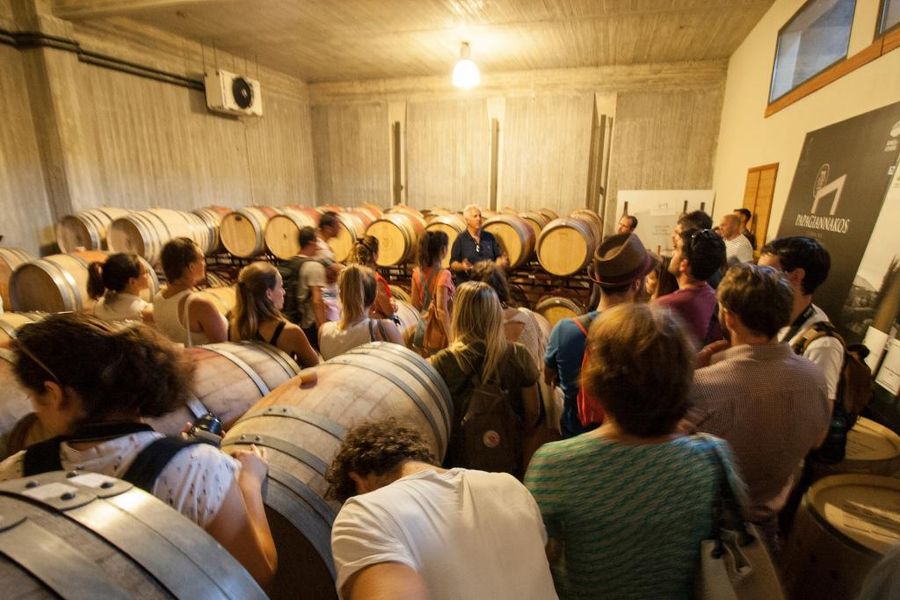 tourists listening to a guide at Domaine Papagiannakos cellar