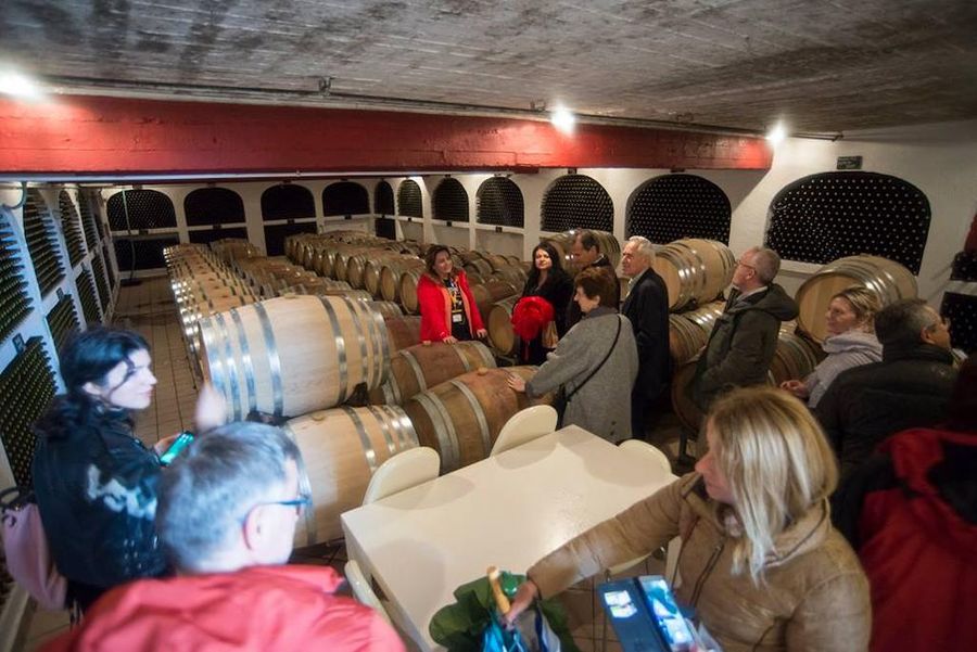 tourists listening to a guide at Ktima Kokotou stone cellar with the lying wine barrels in a row on wood panels