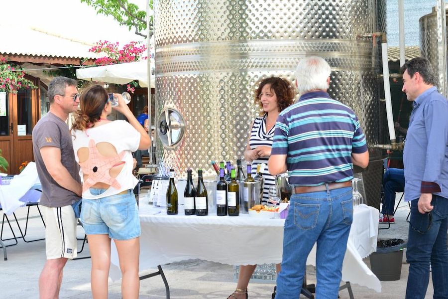 tourists listening to a woman giving a tour at Gikas winery and tasting wines