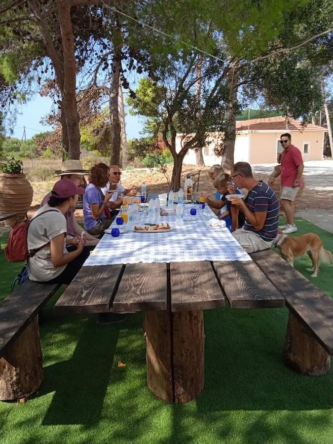 a group of tourists sitting and tasting olive oil at olive grove Yennima Yis in the shade of the trees