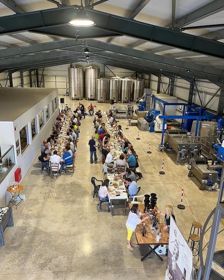 tourists tasting olive oil at Askra Lymperis Estate facilities