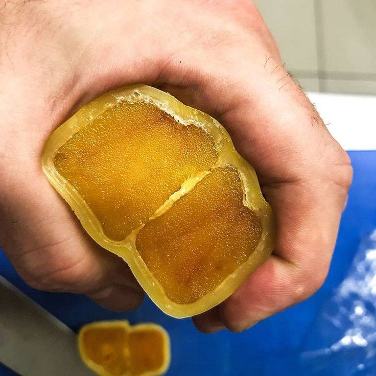 man holding cutted bottarga smoked and showing at the camera at Trikalinos plant