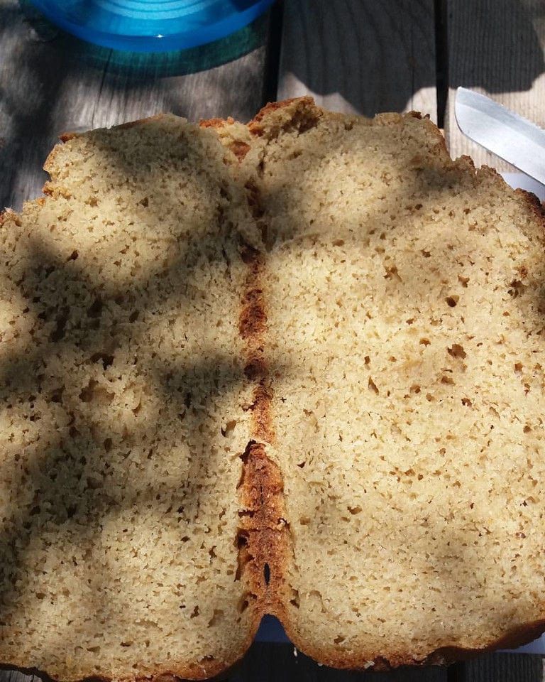 view up close of inside whole wheat bread from 'The Trinity Farm'