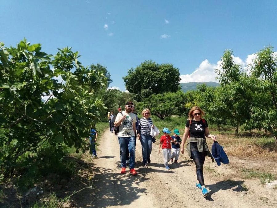 two families with little children walking on the dirt road of Ktima Kir Yianni vineyards