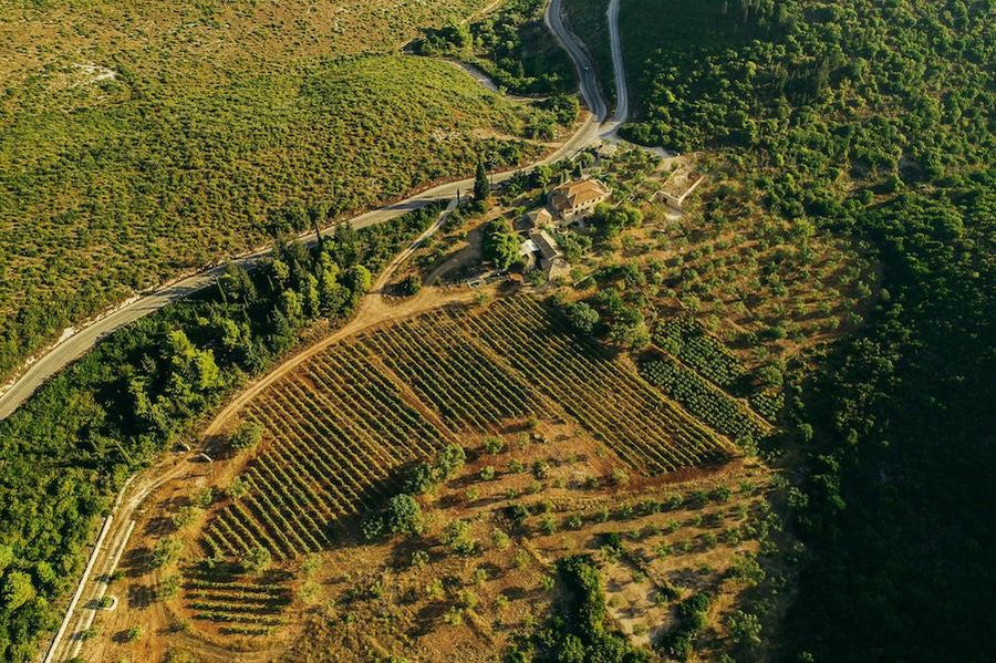 view from above of Goumas Estate Art Wine building surrounded by vineyards, trees and a mountain