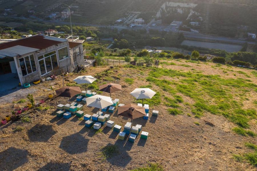 view from above of bee hives under the sunshades and a building of Kokkiadis honey farm on the left surrounded by trees, hills and a blue sky in the background