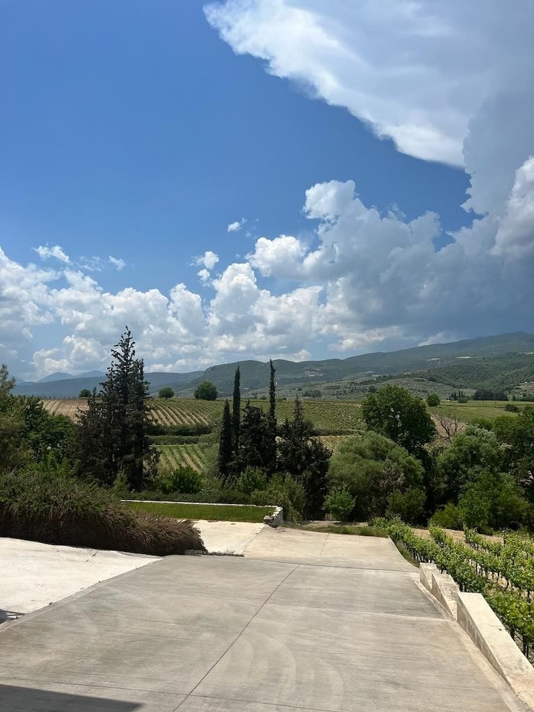 view of Nemean vineyards