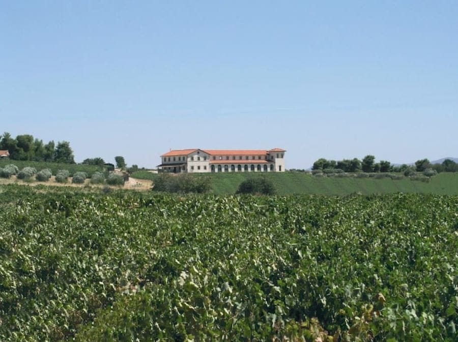 Tzivani Bio Wines building surrounded by vineyards and trees and blue sky in the background