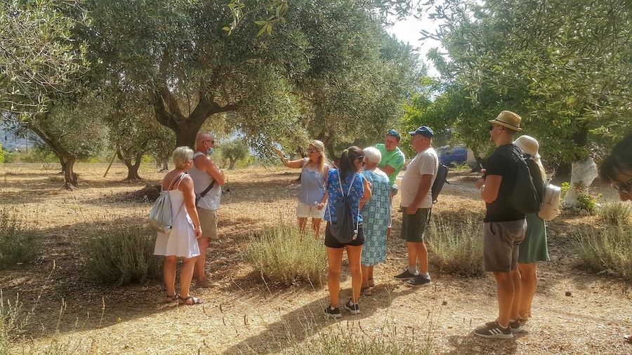 visitors listening to a guide at olive grove En Kefallinia Organic Farm Restaurant