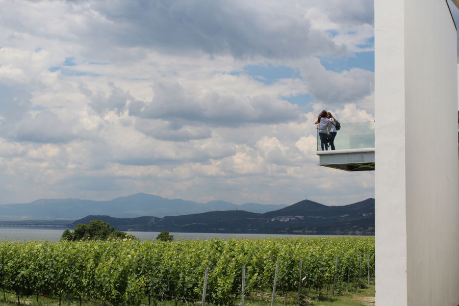 two women on 'Voyatzis Estate' terrace in the background of vineyards, sea and mountains