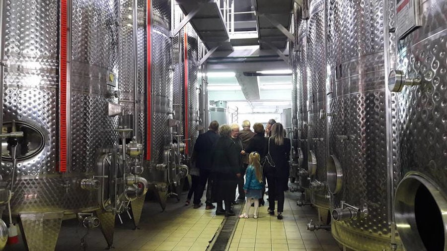 tourists visiting the 'Tsantali Winery' tanks and listening to a guide