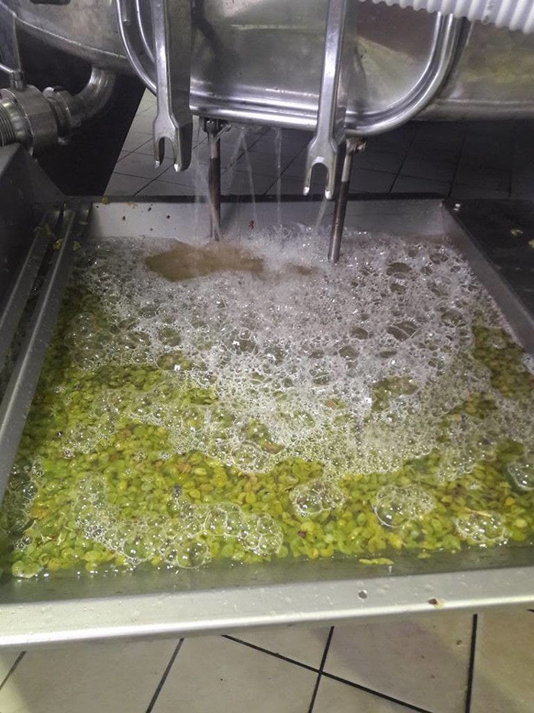 white wine 'must' flowed from grape press machine at 'Voyatzis Estate' facilities