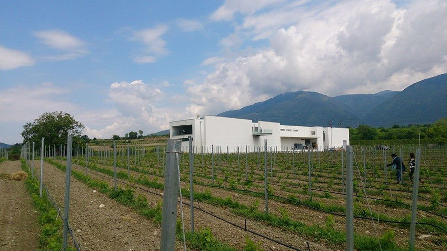 'Voyatzis Estate' modern building surrounded by vineyards and mountains