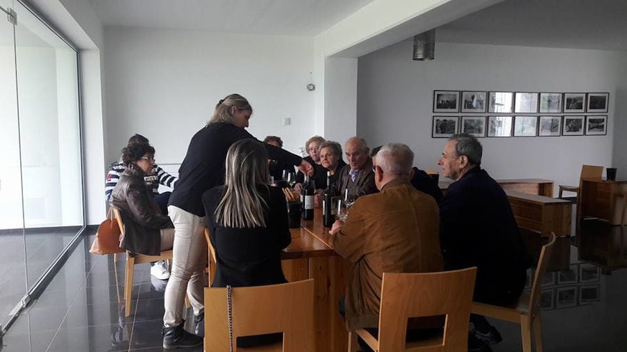 a group of tourists tasting wines at the table and a woman pouring a glasses of wine at 'Voyatzis Estate'