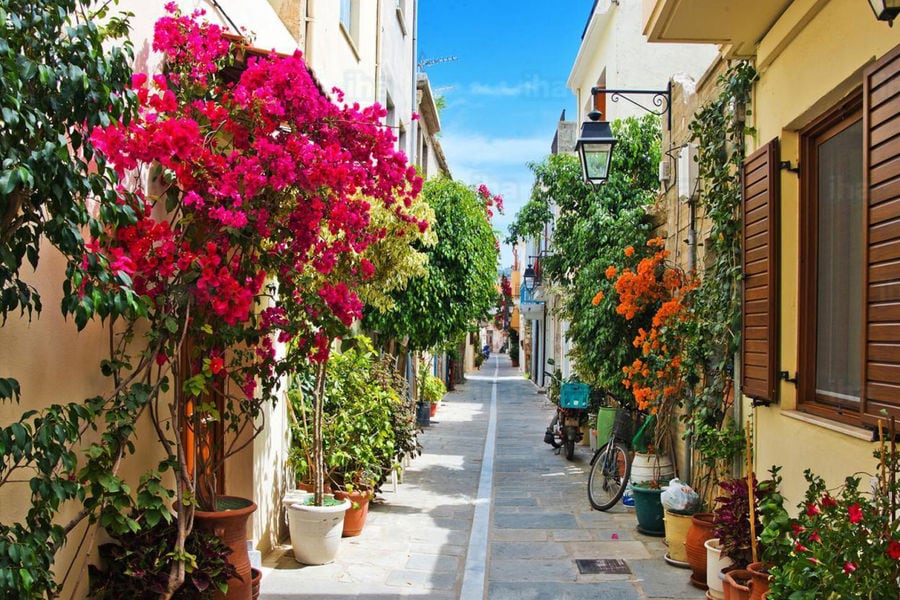 In Crete, a charming alley unfolds, bursting with a riot of colorful flowers, infusing the Mediterranean scene with a captivating allure.