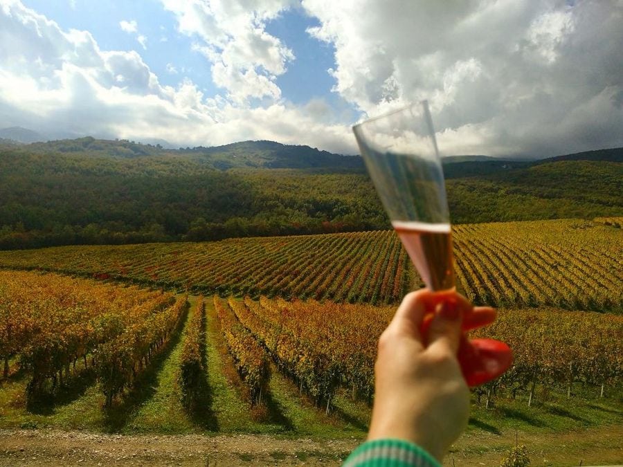 woman holding a glass of wine in the background of the Ktima Kir Yianni vineyards