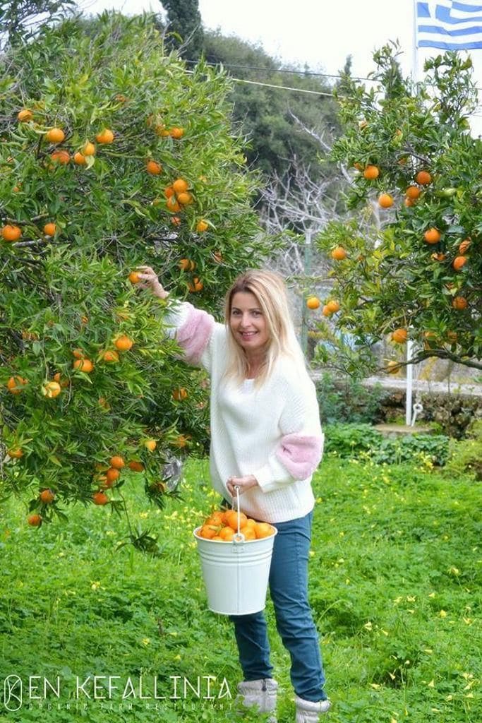 woman picking oranges from tree and watching at the camera at En Kefallinia Organic Farm Restaurant garden