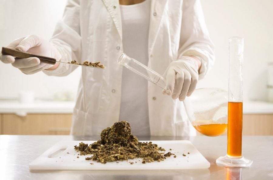 Woman in uniform skillfully blending herbs in a cylinder. Embrace the essence of Greek botanical excellence.