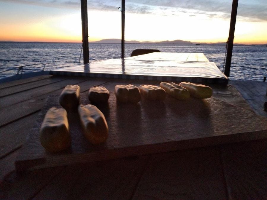 wooden bottom with bottarga on the fishing boat floor and the sea in the background from Stefanos Kaneletis