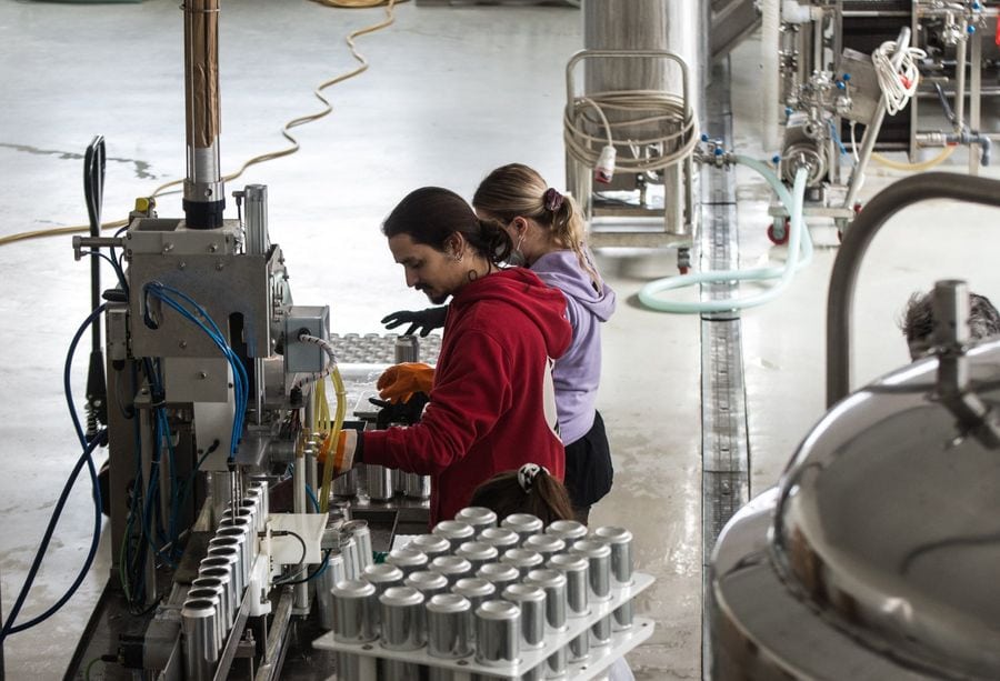 Employees of Alea brewery fill the beer cans