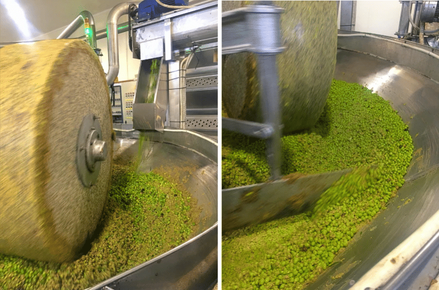 4oJ7oZni_antonoliva_extra_virgin_olive_oil_tours_visit_olive_press_f7.webp