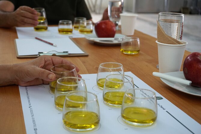 Chania Olive oil tastings
