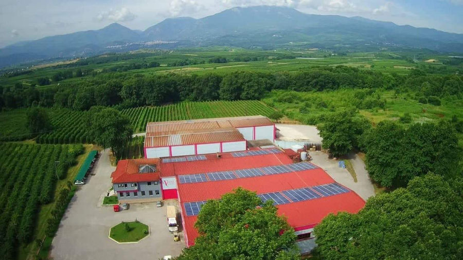 'Vaeni Naoussa' from above surrounded by vineyards, trees and mountains in the buckround