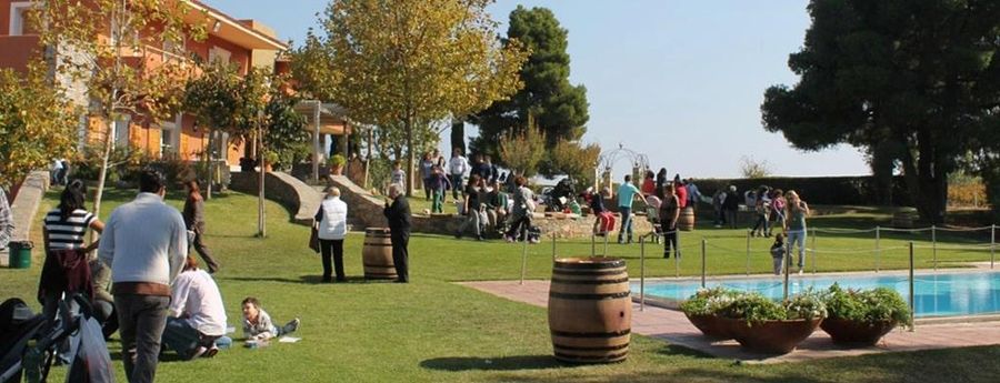 9zT19h3B_tourists on the green lawn with the high trees, and piscine –Gastronomy Tours.jpg