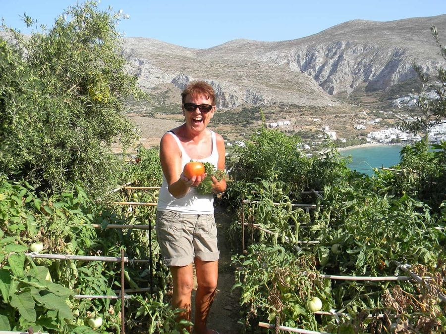 ALnjgkjq_Organic Gardens tours (7)_1 - Αντιγραφή.JPG