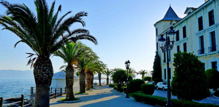 a street with palm trees and buildings