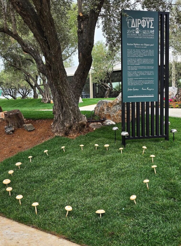 C6lFazKD_576298952_1243371181154582_8013149603797431315_n (1).jpg